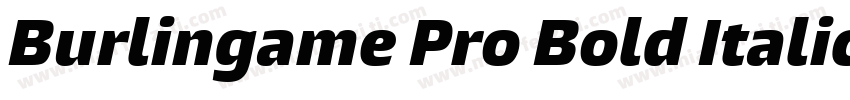 Burlingame Pro Bold Italic字体转换